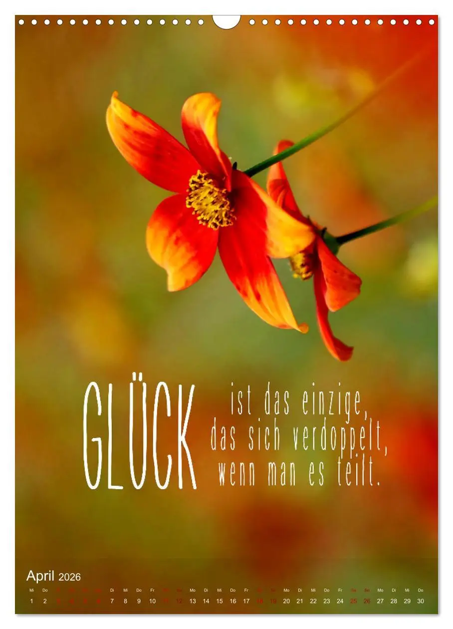 Bild: 9783516263220 | ICH WÜNSCHE DIR GLÜCK - 12 Monate mit inspirierenden Glückszitaten...