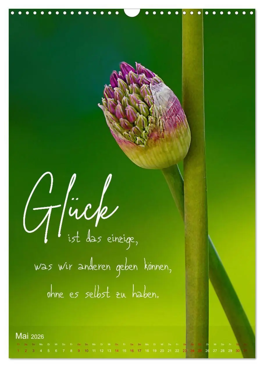 Bild: 9783516263220 | ICH WÜNSCHE DIR GLÜCK - 12 Monate mit inspirierenden Glückszitaten...