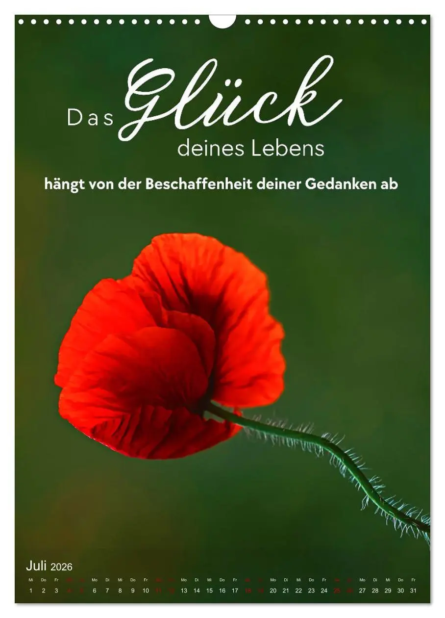 Bild: 9783516263220 | ICH WÜNSCHE DIR GLÜCK - 12 Monate mit inspirierenden Glückszitaten...