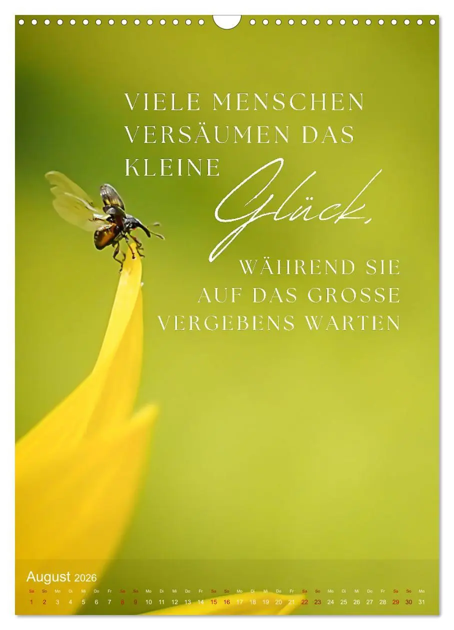 Bild: 9783516263220 | ICH WÜNSCHE DIR GLÜCK - 12 Monate mit inspirierenden Glückszitaten...