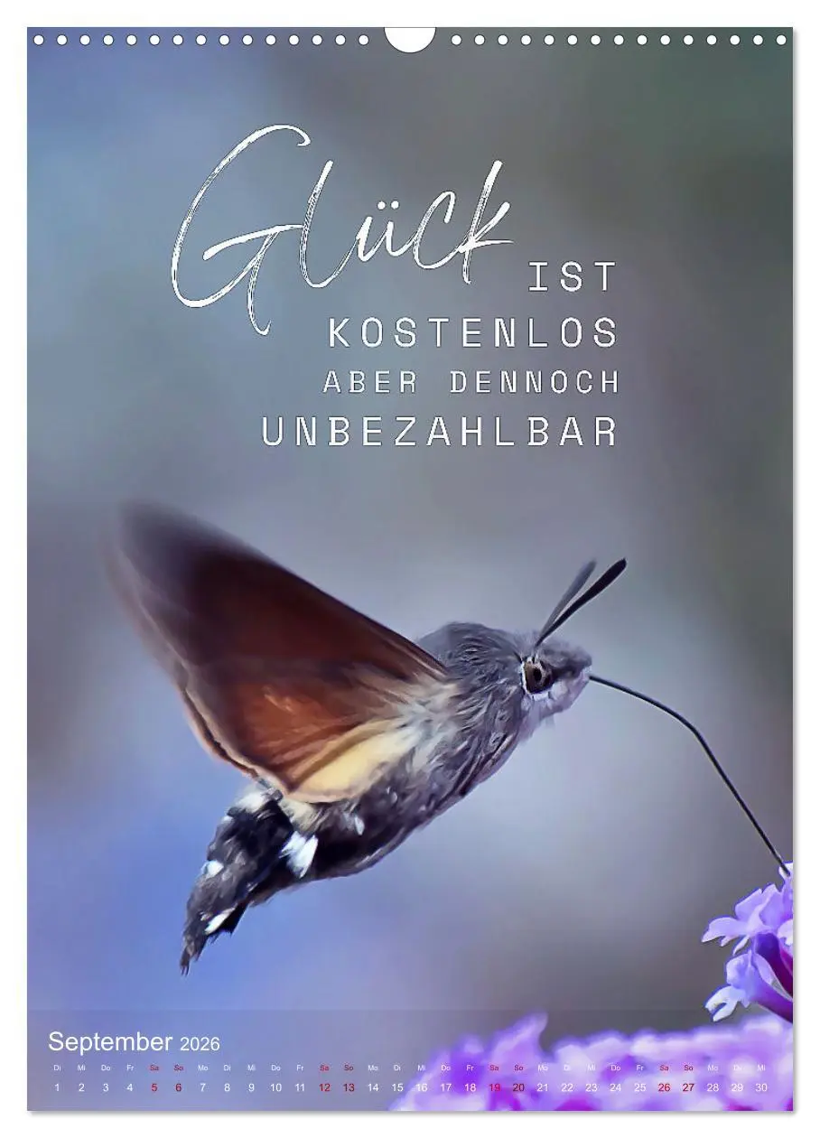 Bild: 9783516263220 | ICH WÜNSCHE DIR GLÜCK - 12 Monate mit inspirierenden Glückszitaten...