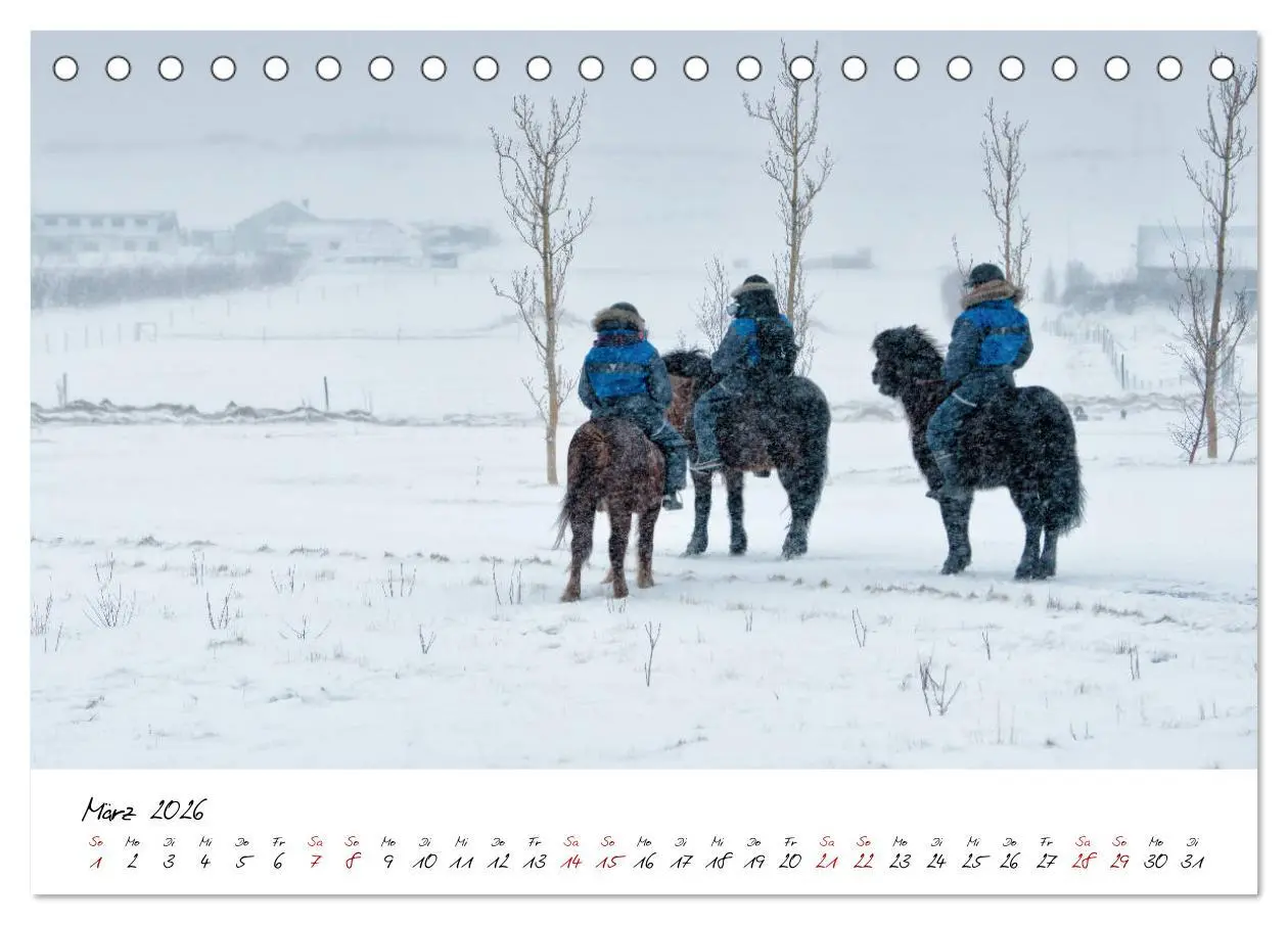 Bild: 9783457923320 | Islandpferde take it Isi (Tischkalender 2026 DIN A5 quer), CALVENDO...
