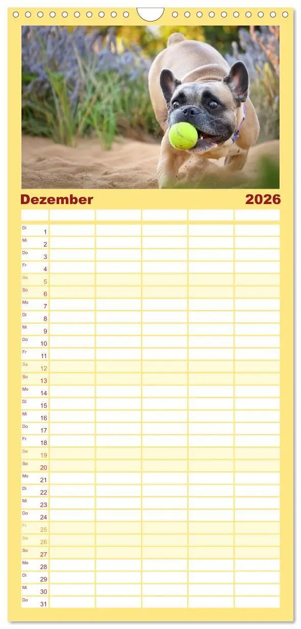 Bild: 9783516493320 | Familienplaner 2026 - Bullys in Action - Französische Bulldoggen...
