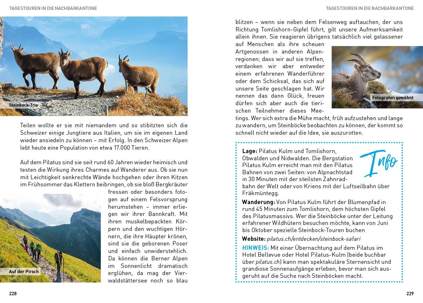 Bild: 9783968553320 | Luzern mit Vierwaldstätter See - ReiseMomente | Nicole Quint | Buch