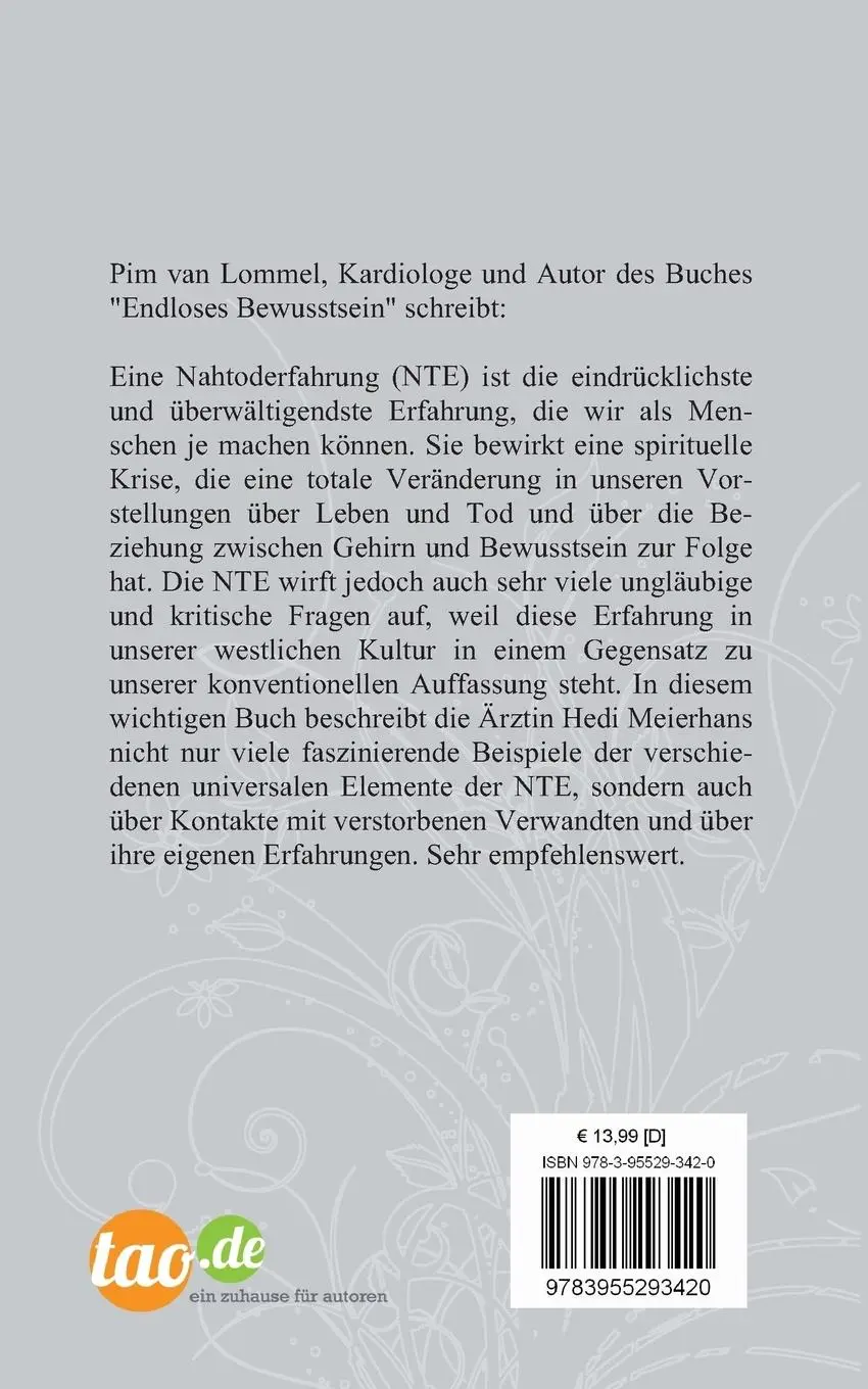 Rückseite: 9783955293420 | Hinter den Kulissen der Welt, ewige Ruhe? | Hedi Meierhans | Buch