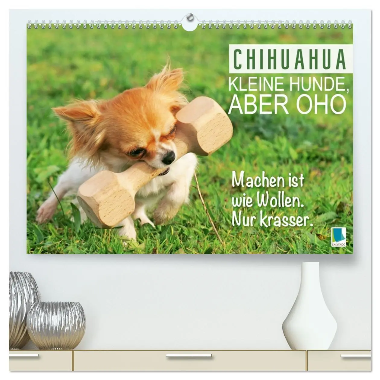 Cover: 9783457383520 | Chihuahua: Kleine Hunde, aber oho (hochwertiger Premium...