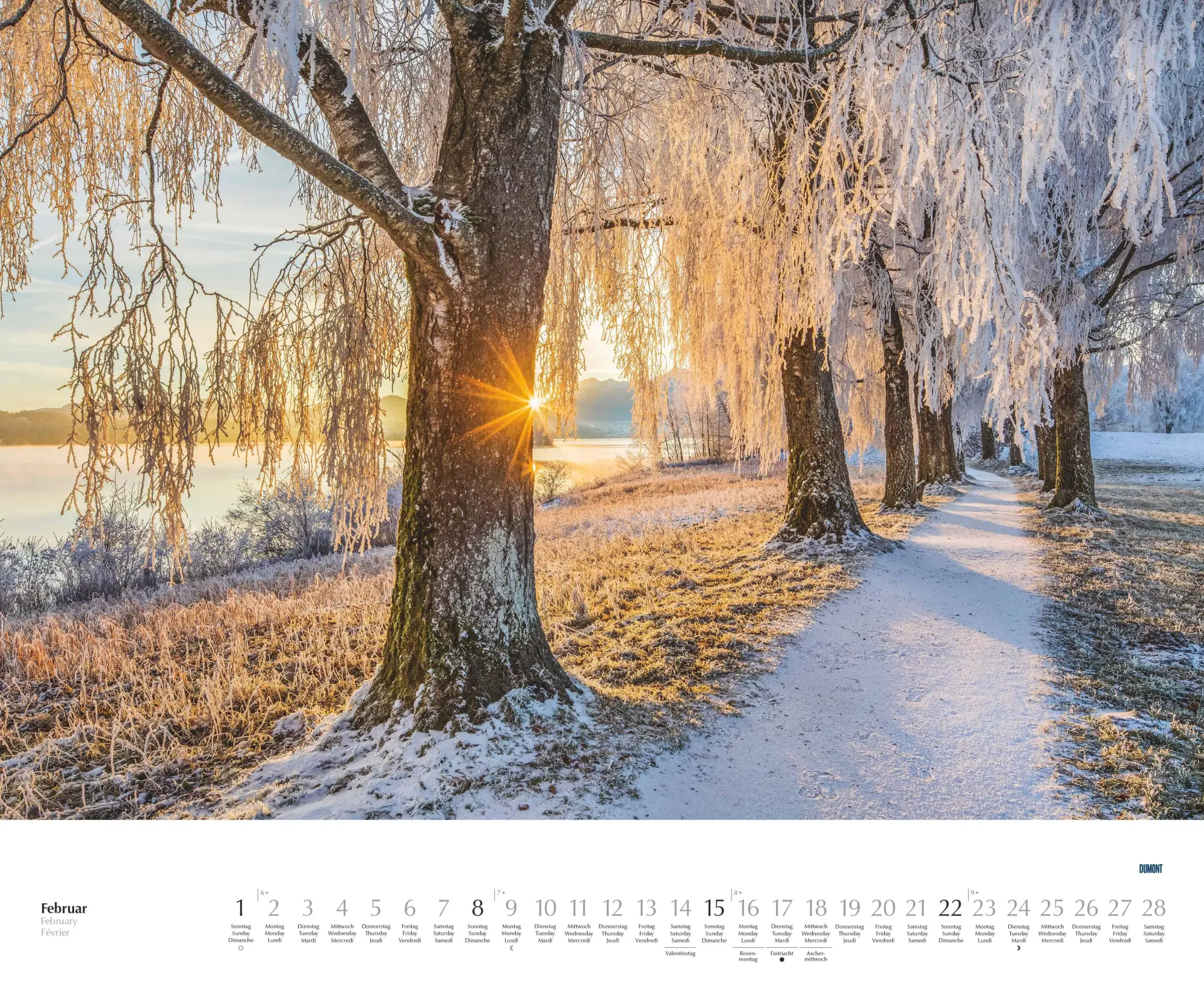 Bild: 4069095003620 | Bäume - Alleen 2026 - Wandkalender 52 x 42,5 cm - Spiralbindung | 2026