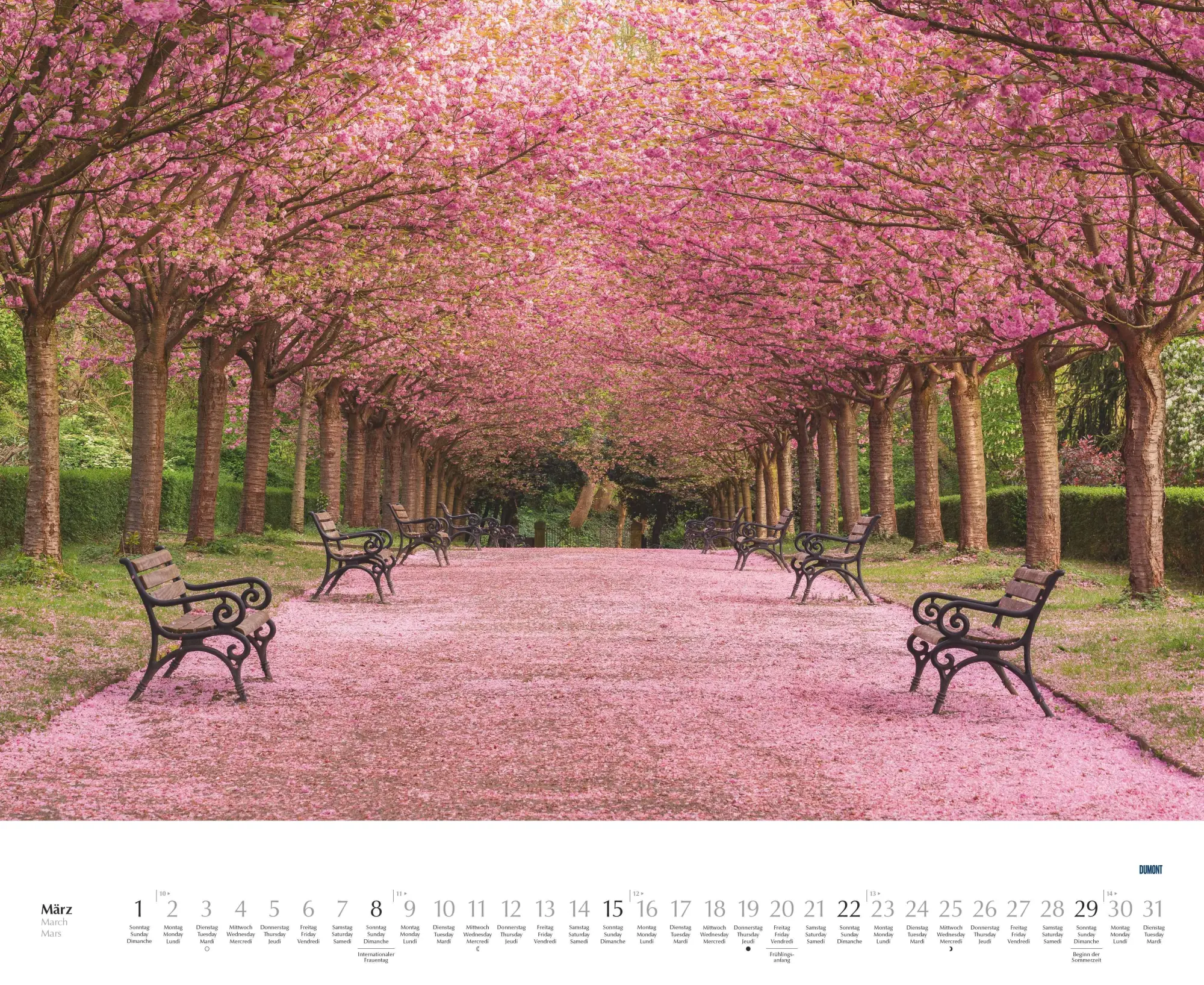 Bild: 4069095003620 | Bäume - Alleen 2026 - Wandkalender 52 x 42,5 cm - Spiralbindung | 2026