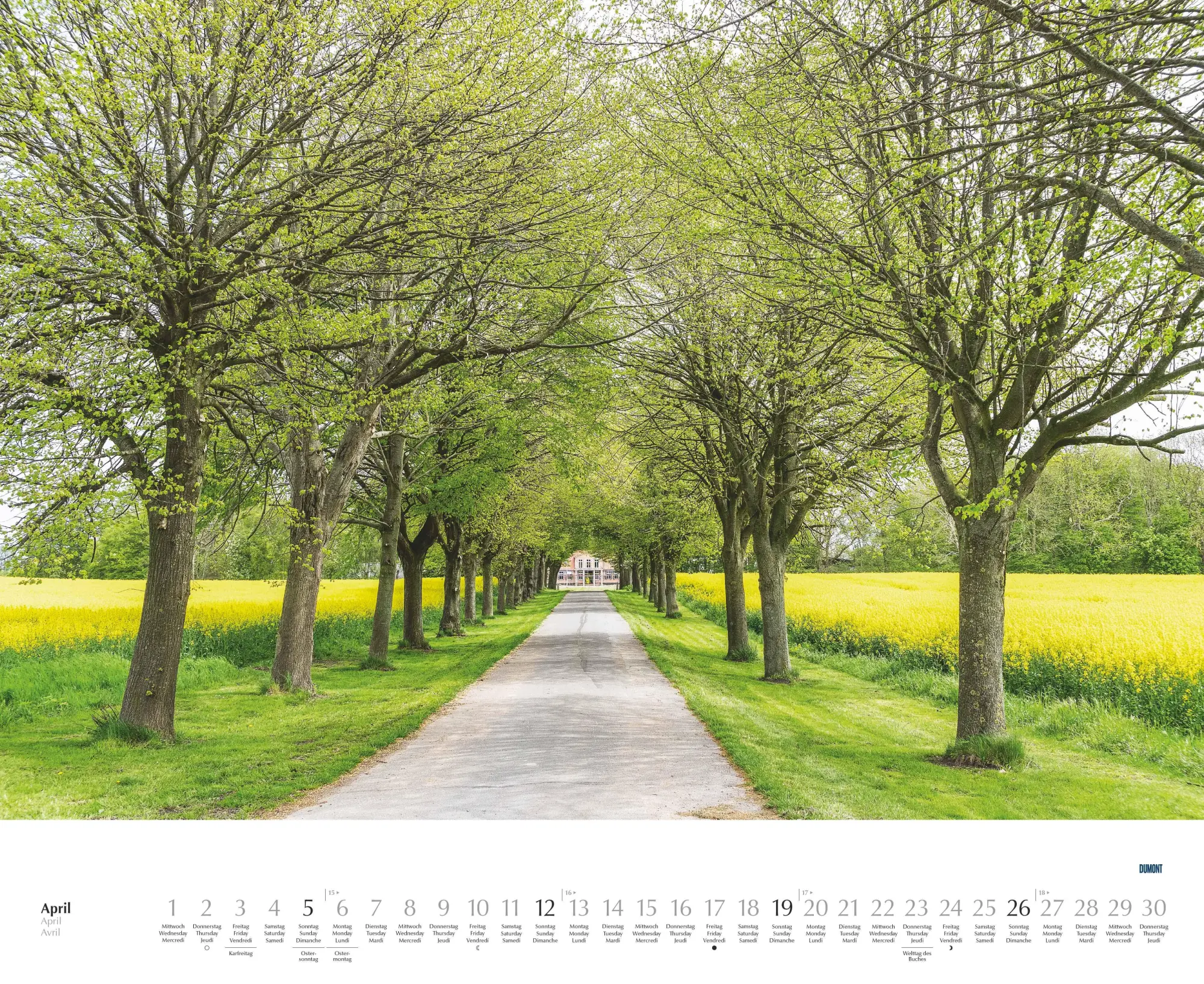 Bild: 4069095003620 | Bäume - Alleen 2026 - Wandkalender 52 x 42,5 cm - Spiralbindung | 2026