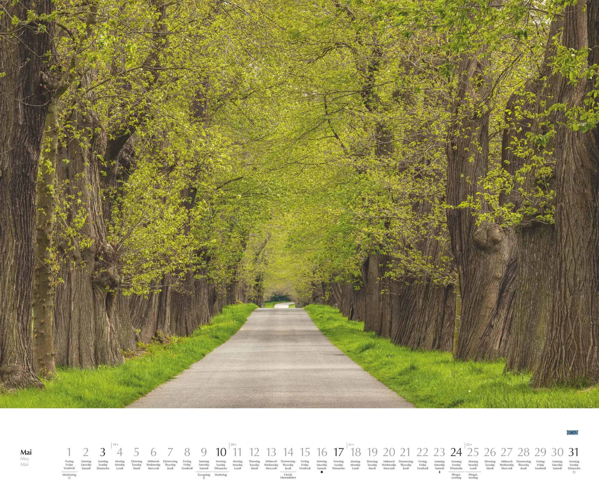 Bild: 4069095003620 | Bäume - Alleen 2026 - Wandkalender 52 x 42,5 cm - Spiralbindung | 2026