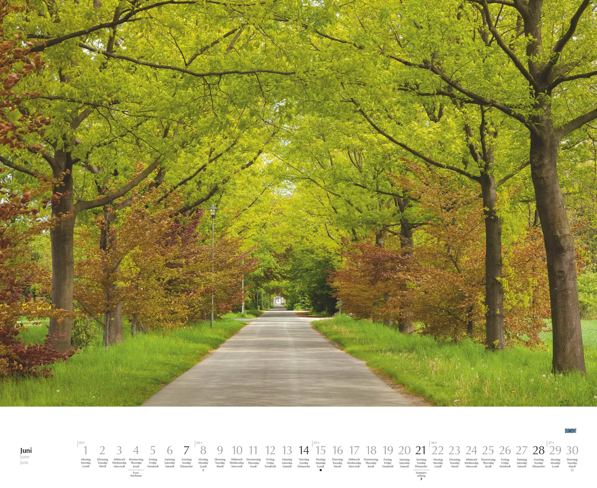 Bild: 4069095003620 | Bäume - Alleen 2026 - Wandkalender 52 x 42,5 cm - Spiralbindung | 2026
