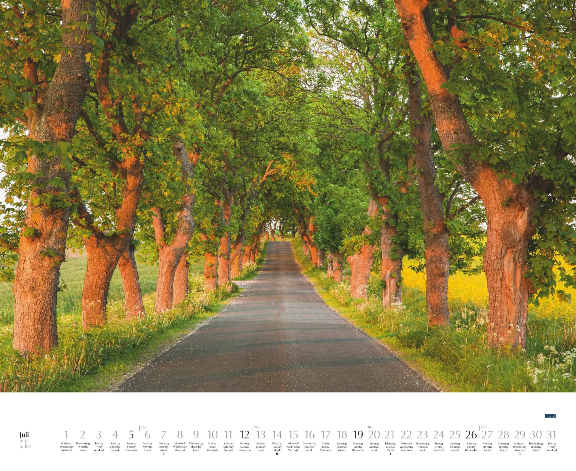 Bild: 4069095003620 | Bäume - Alleen 2026 - Wandkalender 52 x 42,5 cm - Spiralbindung | 2026