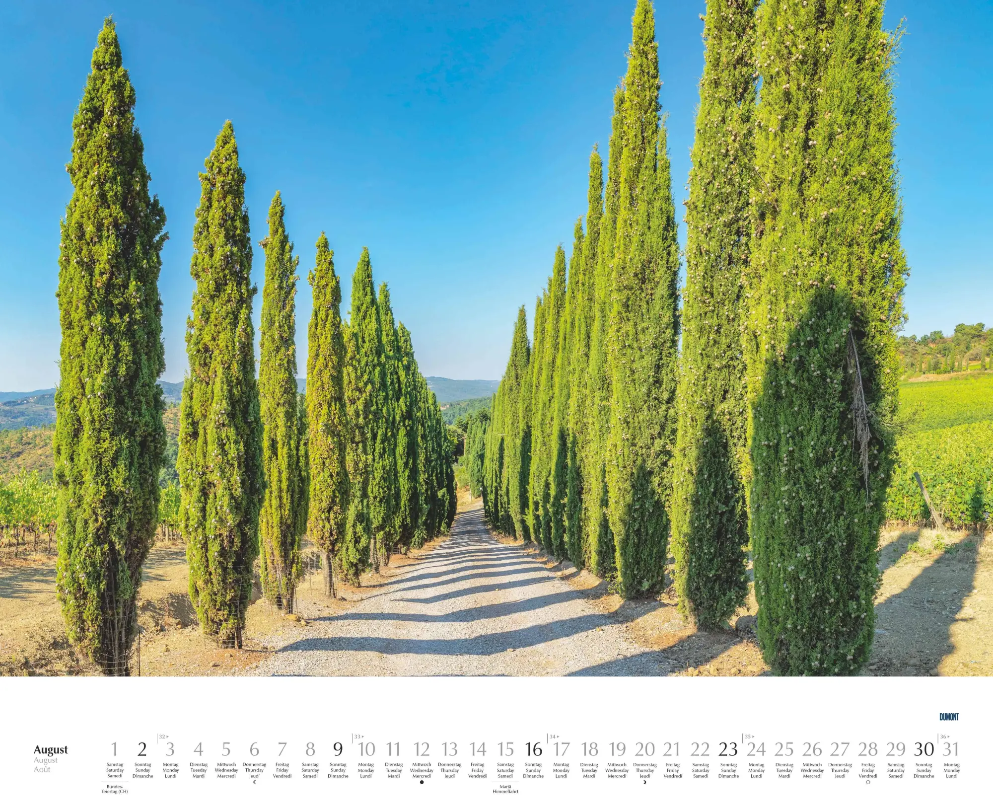 Bild: 4069095003620 | Bäume - Alleen 2026 - Wandkalender 52 x 42,5 cm - Spiralbindung | 2026