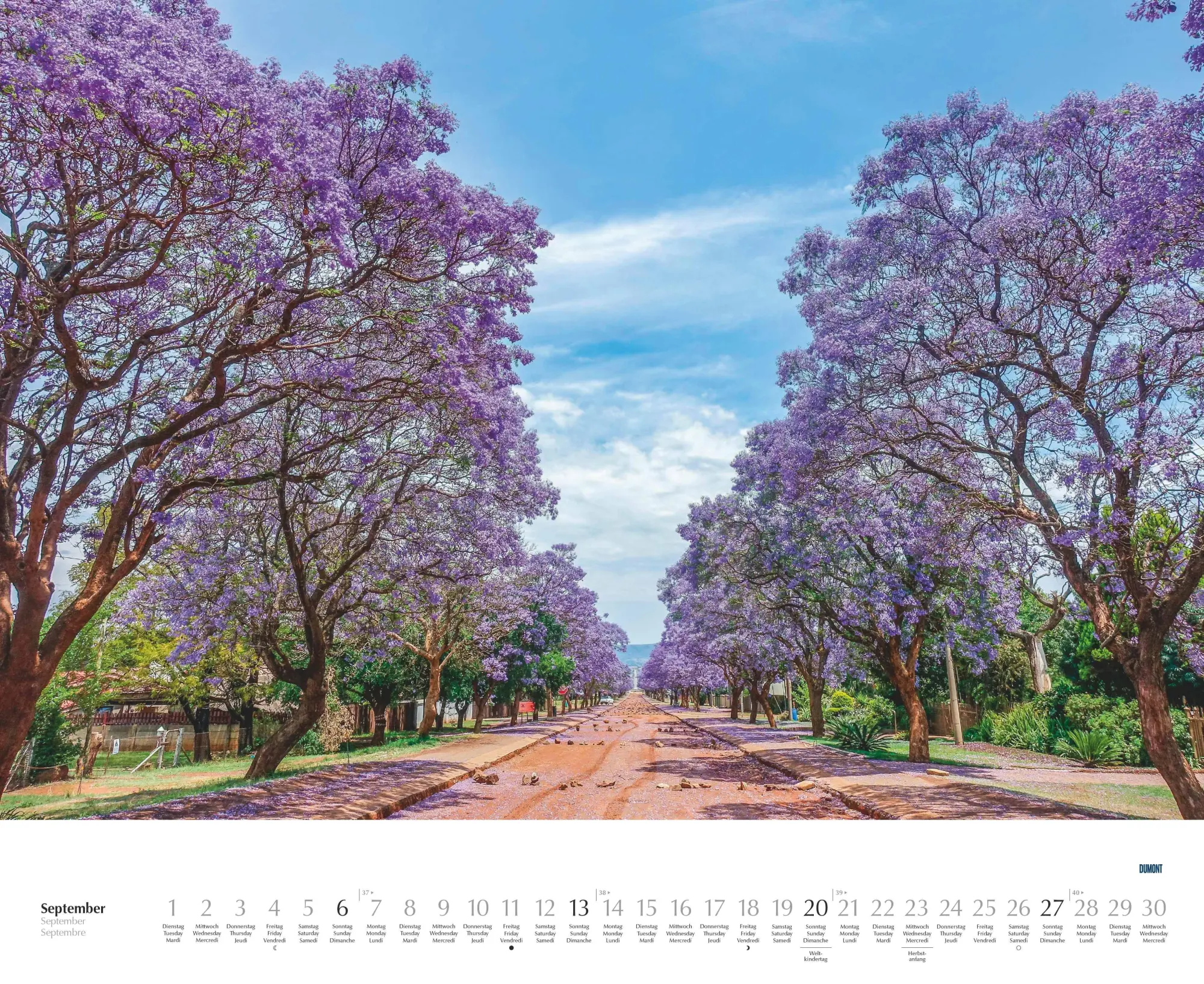 Bild: 4069095003620 | Bäume - Alleen 2026 - Wandkalender 52 x 42,5 cm - Spiralbindung | 2026