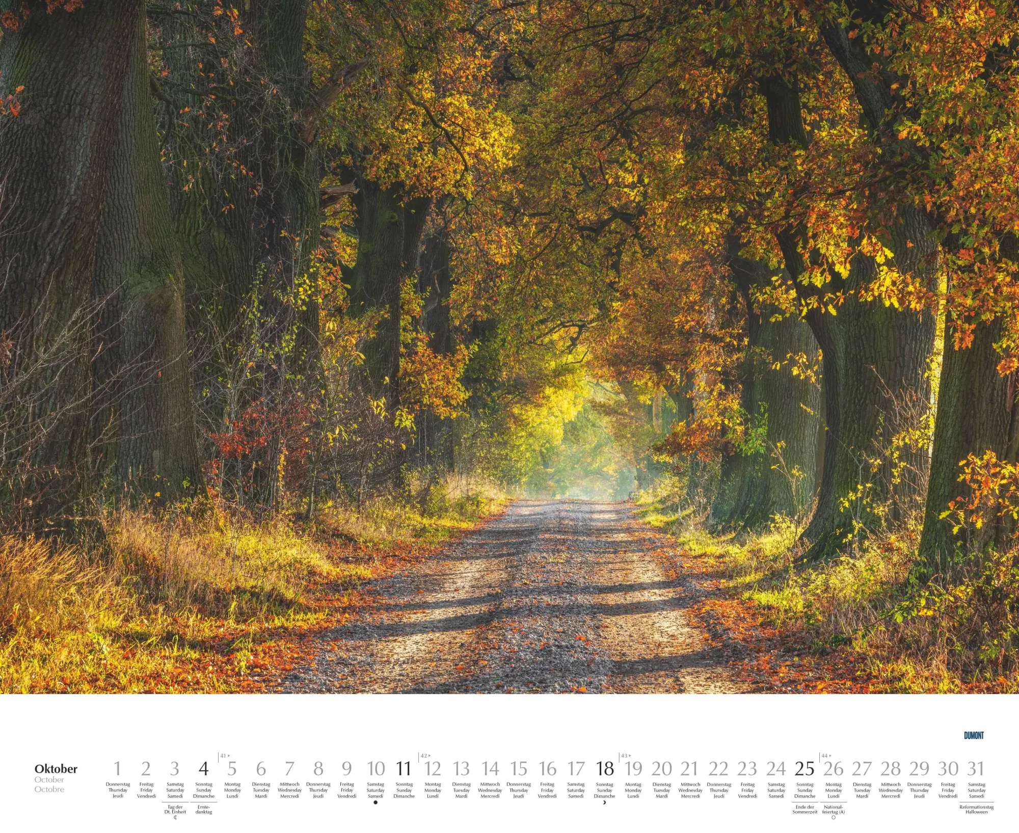 Bild: 4069095003620 | Bäume - Alleen 2026 - Wandkalender 52 x 42,5 cm - Spiralbindung | 2026