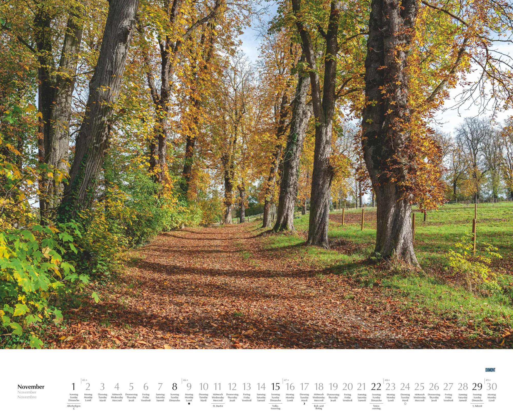 Bild: 4069095003620 | Bäume - Alleen 2026 - Wandkalender 52 x 42,5 cm - Spiralbindung | 2026