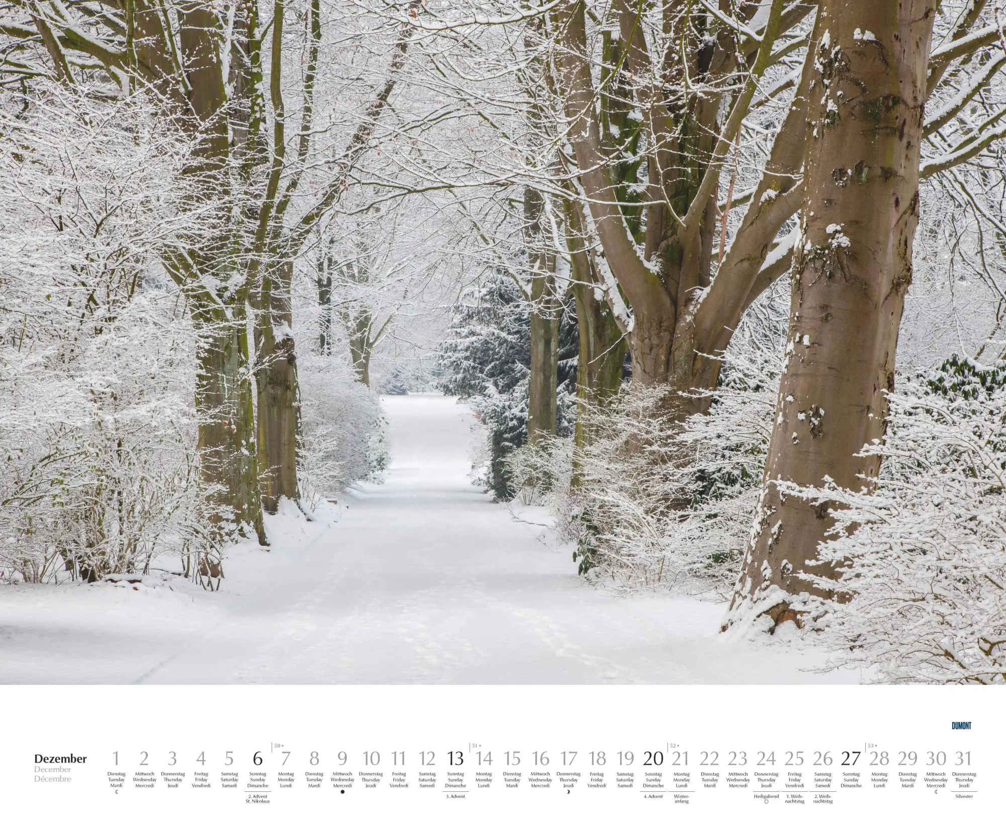 Bild: 4069095003620 | Bäume - Alleen 2026 - Wandkalender 52 x 42,5 cm - Spiralbindung | 2026