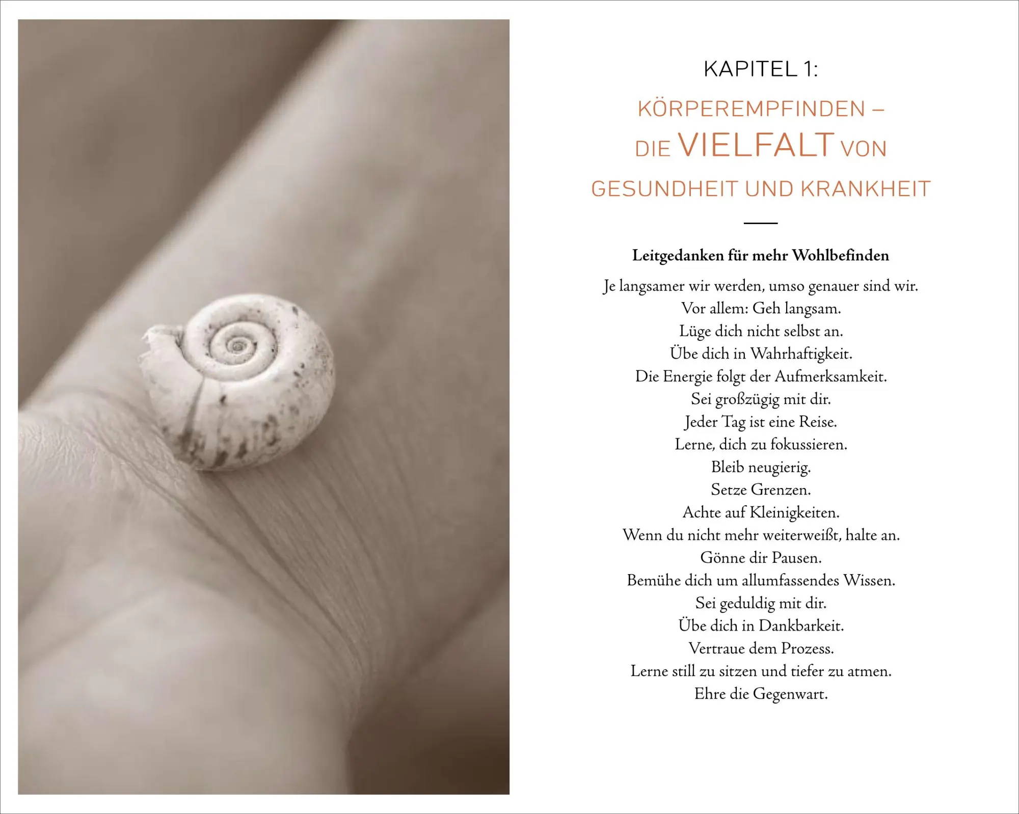 Bild: 9783424153620 | Körperflüstern | Tala Mohajeri | Buch | 224 S. | Deutsch | 2020