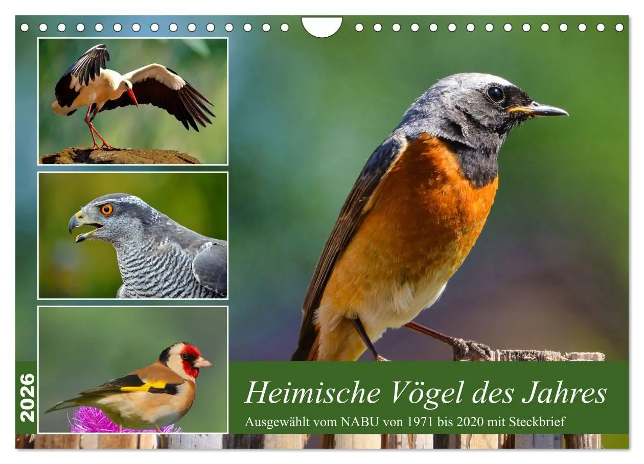 Cover: 9783457373620 | Heimische Vögel des Jahres (Wandkalender 2026 DIN A4 quer),...