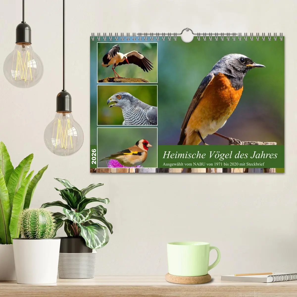 Bild: 9783457373620 | Heimische Vögel des Jahres (Wandkalender 2026 DIN A4 quer),...