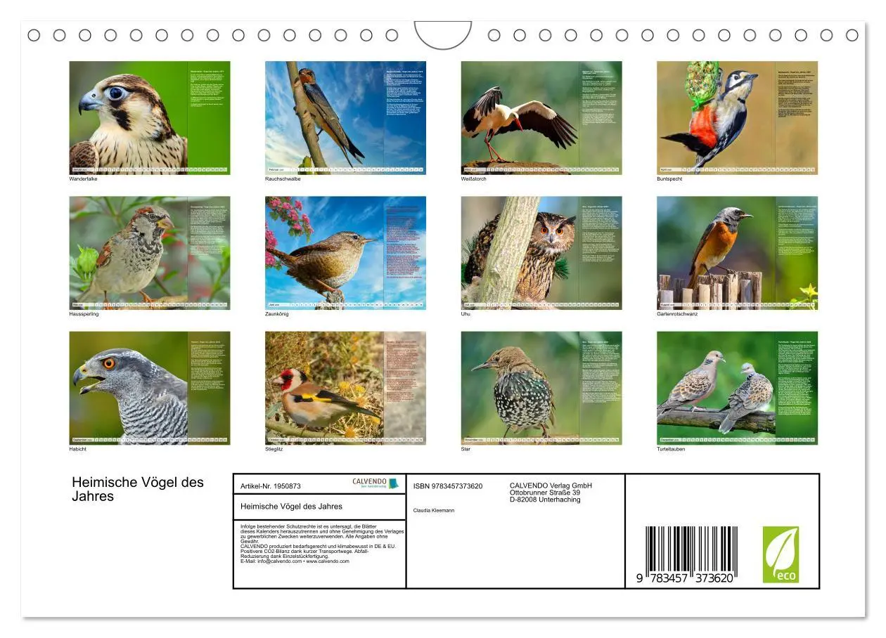 Bild: 9783457373620 | Heimische Vögel des Jahres (Wandkalender 2026 DIN A4 quer),...