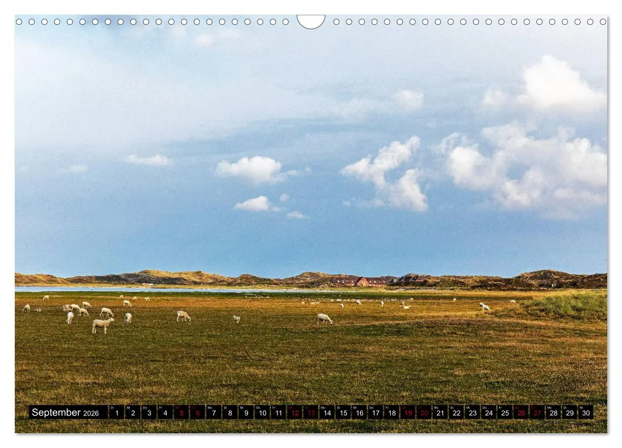 Bild: 9783457823620 | Magisches Sylt (Wandkalender 2026 DIN A3 quer), CALVENDO...