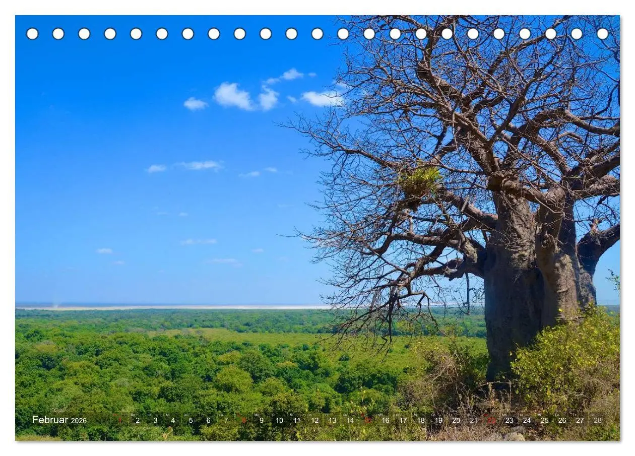 Bild: 9783457993620 | Tansania - Faszinierendes Afrika (Tischkalender 2026 DIN A5 quer),...