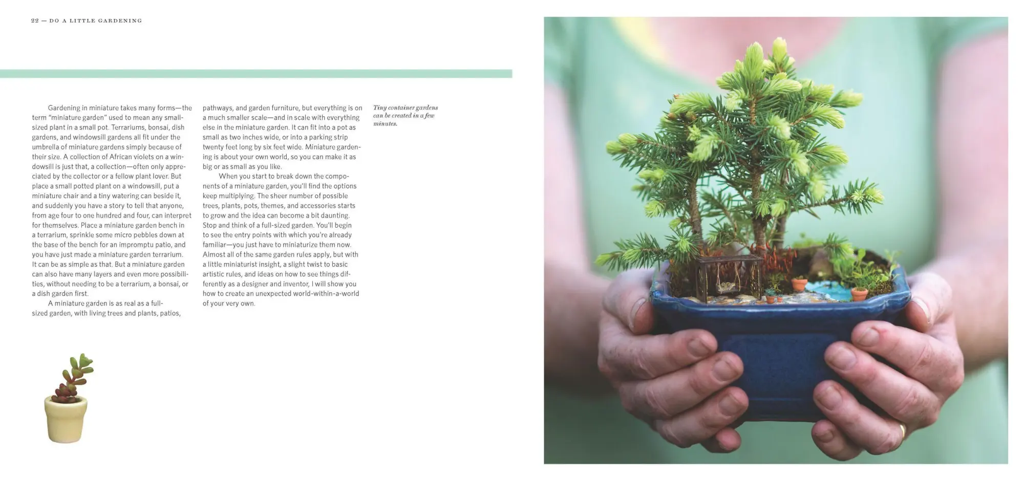 Bild: 9781604693720 | Gardening in Miniature | Create Your Own Tiny Living World | Calvo