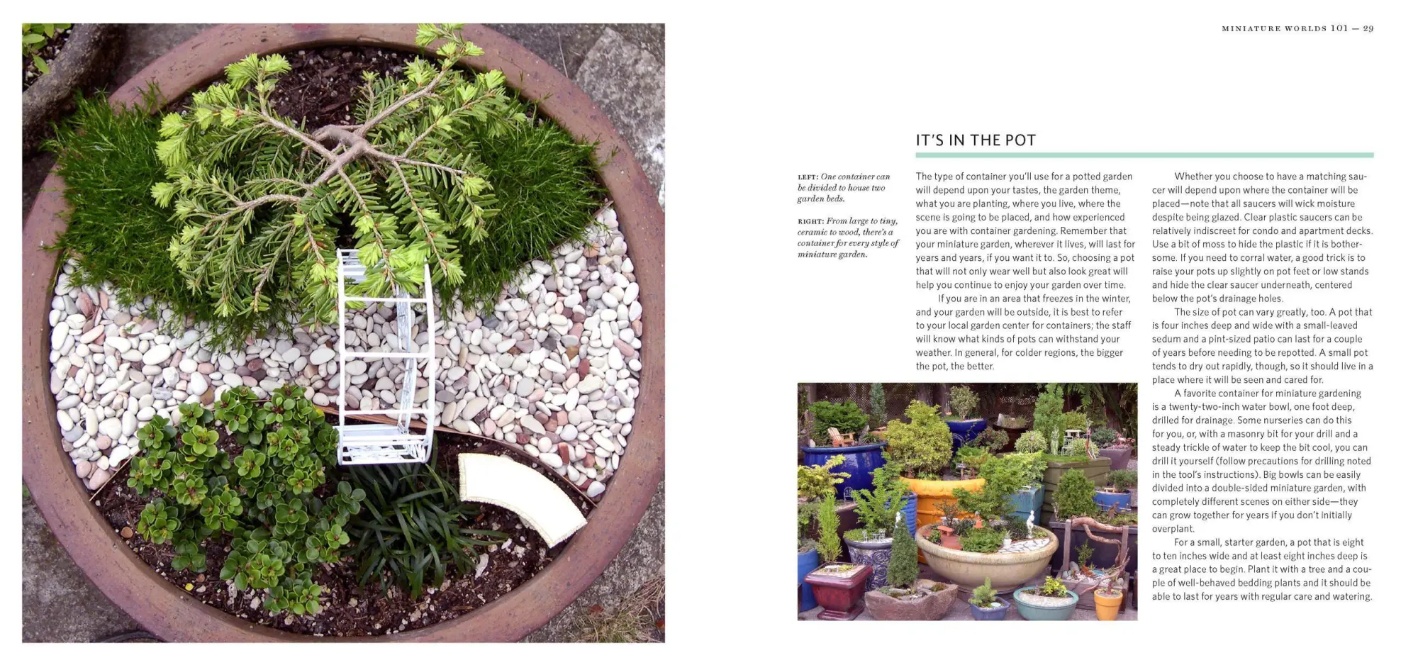 Bild: 9781604693720 | Gardening in Miniature | Create Your Own Tiny Living World | Calvo