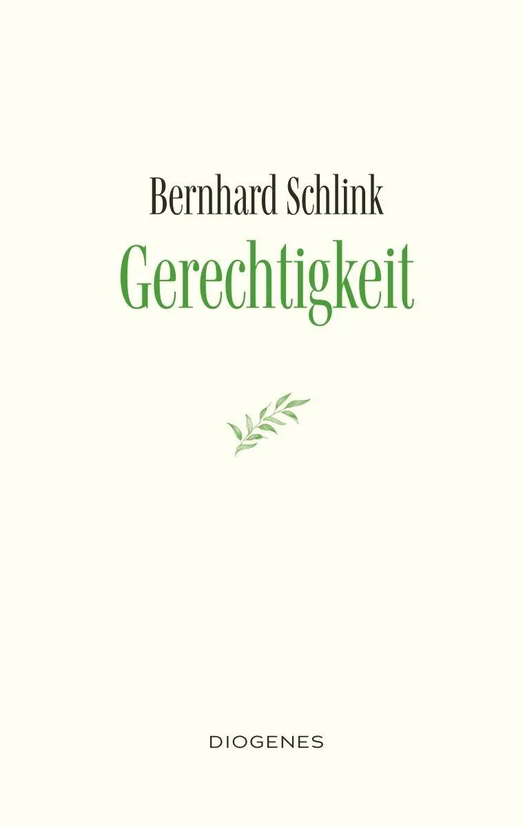 Cover: 9783257073720 | Gerechtigkeit | Ein Essay | Bernhard Schlink | Buch | 208 S. | Deutsch