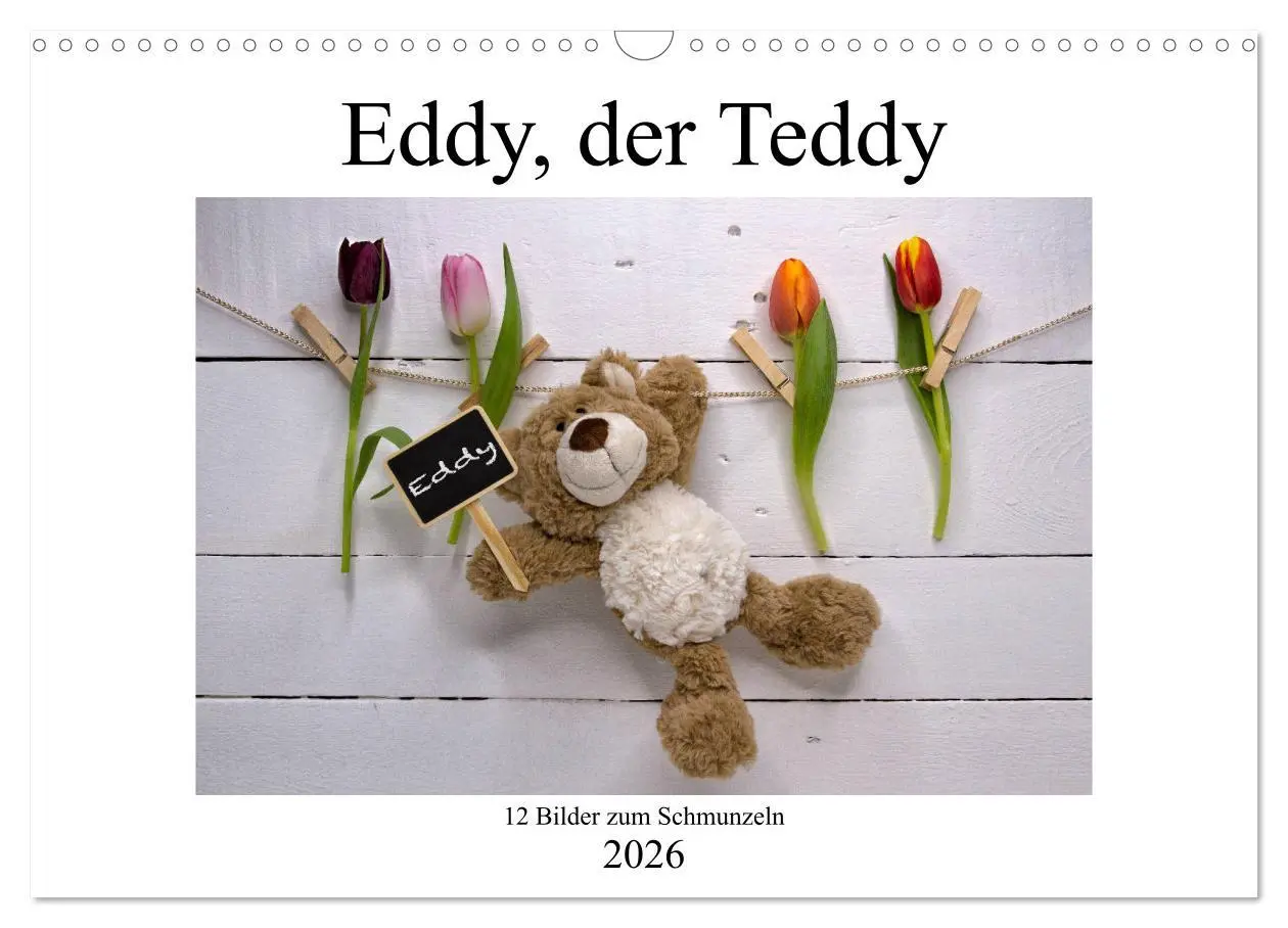 Cover: 9783457813720 | Eddy, der Teddy - 12 Bilder zum Schmunzeln (Wandkalender 2026 DIN...