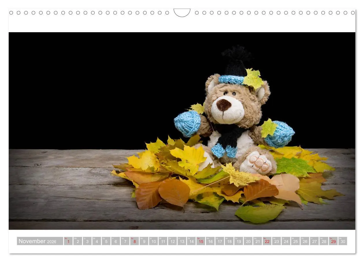 Bild: 9783457813720 | Eddy, der Teddy - 12 Bilder zum Schmunzeln (Wandkalender 2026 DIN...