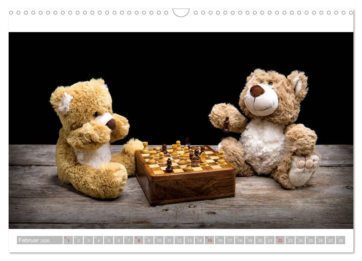 Bild: 9783457813720 | Eddy, der Teddy - 12 Bilder zum Schmunzeln (Wandkalender 2026 DIN...