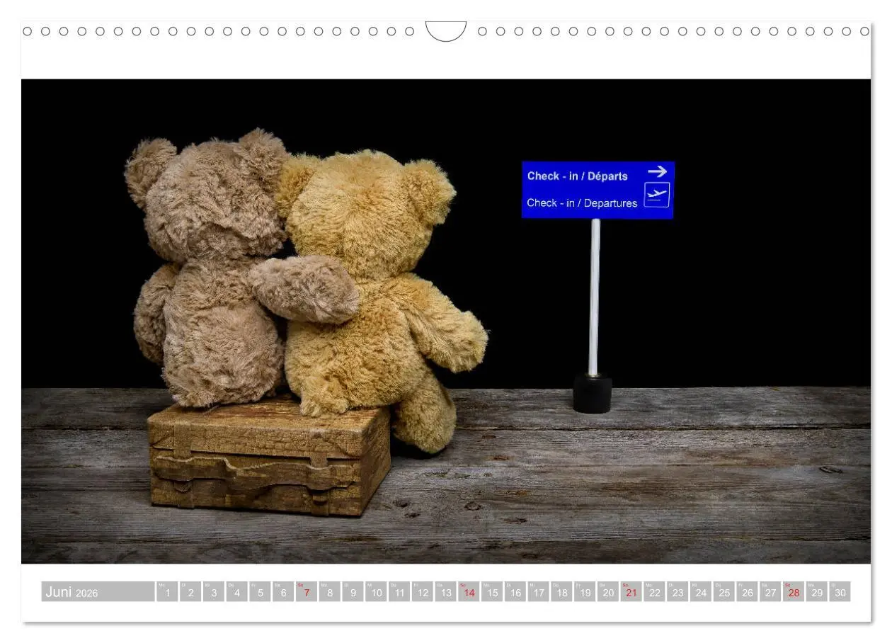 Bild: 9783457813720 | Eddy, der Teddy - 12 Bilder zum Schmunzeln (Wandkalender 2026 DIN...