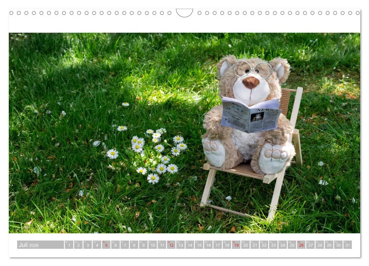 Bild: 9783457813720 | Eddy, der Teddy - 12 Bilder zum Schmunzeln (Wandkalender 2026 DIN...