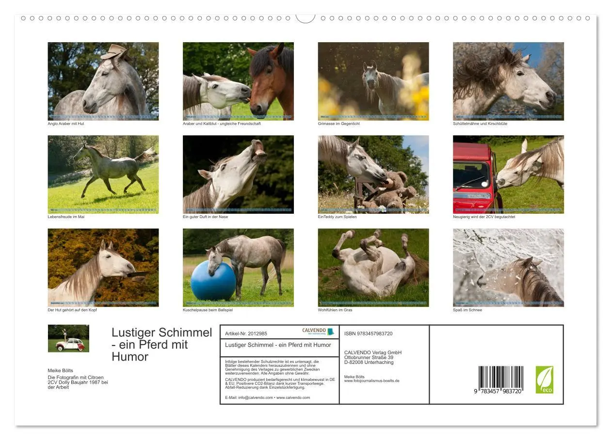 Bild: 9783457983720 | Lustiger Schimmel - ein Pferd mit Humor (hochwertiger Premium...