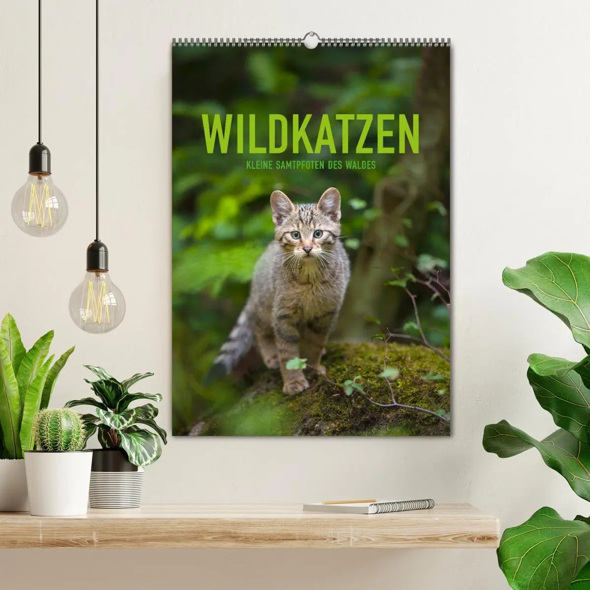 Bild: 9783516383720 | Wildkatzen - Kleine Samtpfoten des Waldes (Wandkalender 2026 DIN A2...