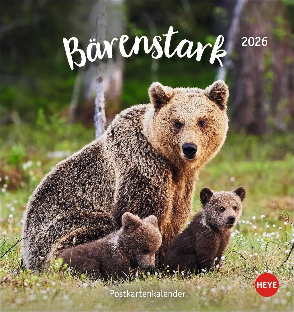 Cover: 9783756413720 | Bärenstark Postkartenkalender 2026 | Kalender | 13 S. | Deutsch | 2026