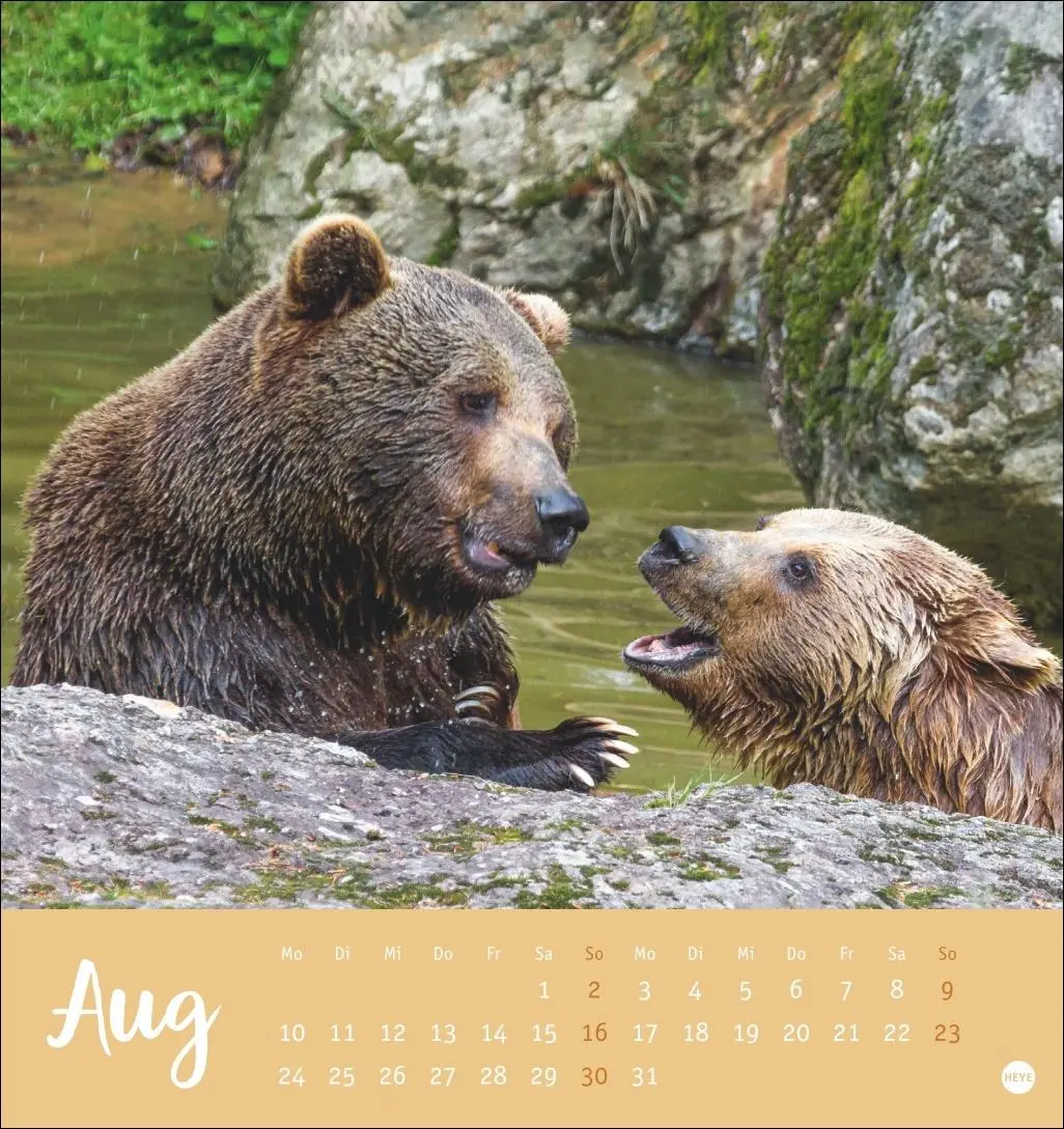 Bild: 9783756413720 | Bärenstark Postkartenkalender 2026 | Kalender | 13 S. | Deutsch | 2026