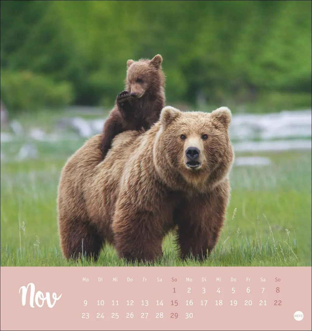 Bild: 9783756413720 | Bärenstark Postkartenkalender 2026 | Kalender | 13 S. | Deutsch | 2026