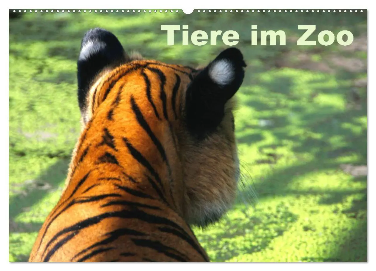 Cover: 9783457973820 | Tiere im Zoo (Wandkalender 2026 DIN A2 quer), CALVENDO Monatskalender