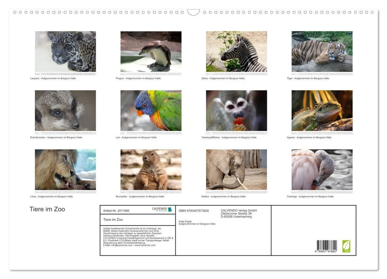 Bild: 9783457973820 | Tiere im Zoo (Wandkalender 2026 DIN A2 quer), CALVENDO Monatskalender