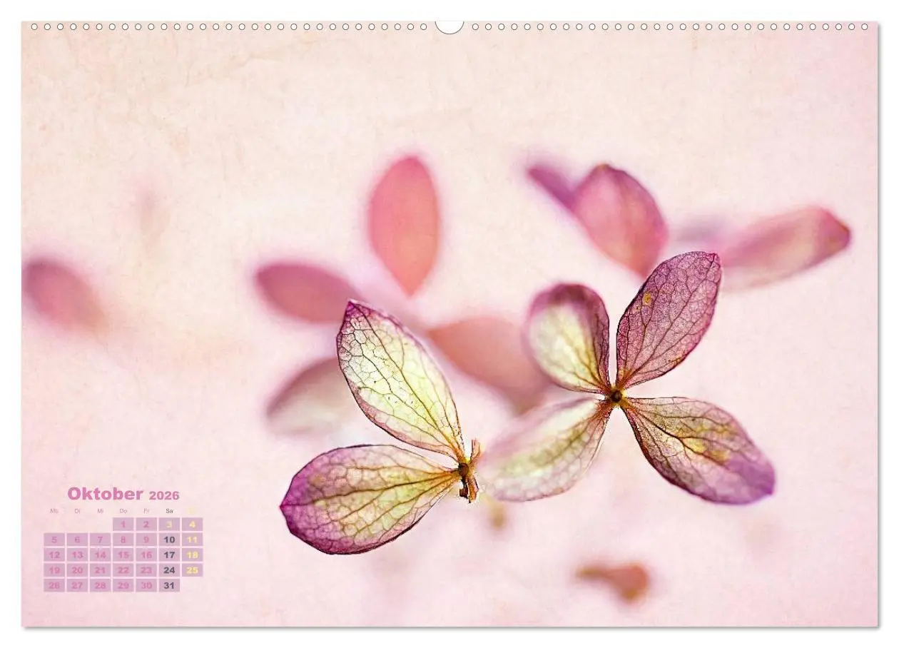 Bild: 9783516203820 | Zauberhafte Blüten (Wandkalender 2026 DIN A2 quer), CALVENDO...