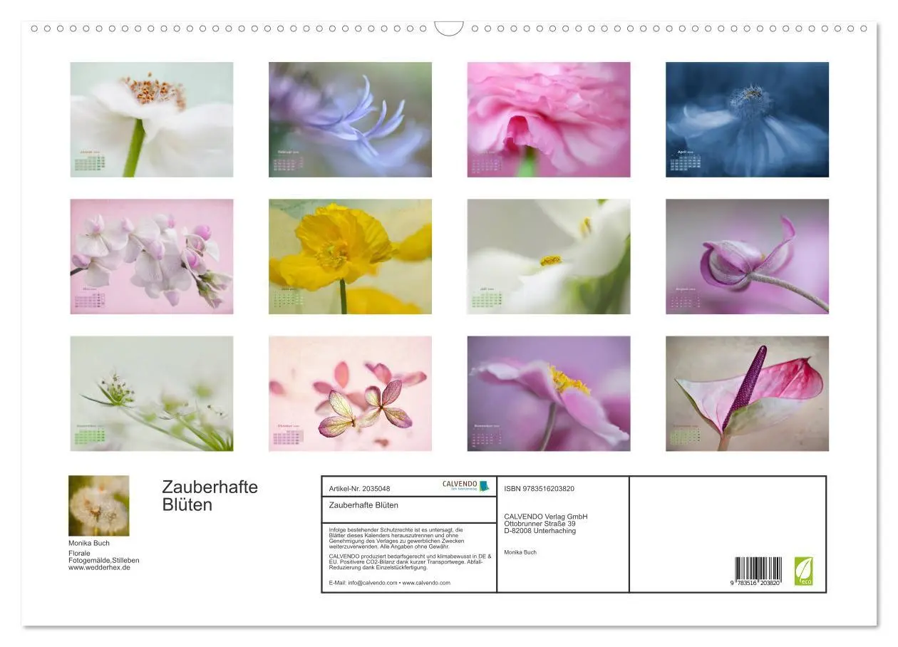 Bild: 9783516203820 | Zauberhafte Blüten (Wandkalender 2026 DIN A2 quer), CALVENDO...