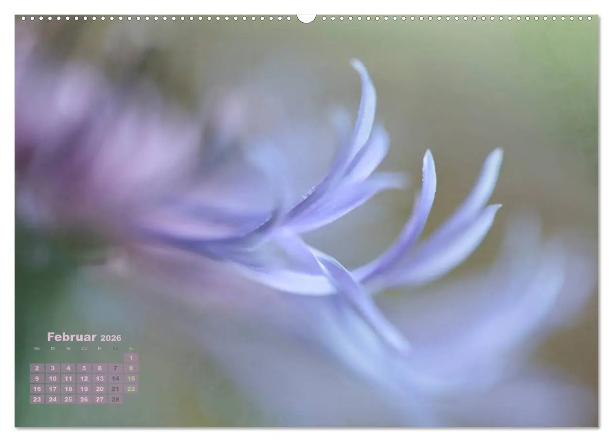 Bild: 9783516203820 | Zauberhafte Blüten (Wandkalender 2026 DIN A2 quer), CALVENDO...