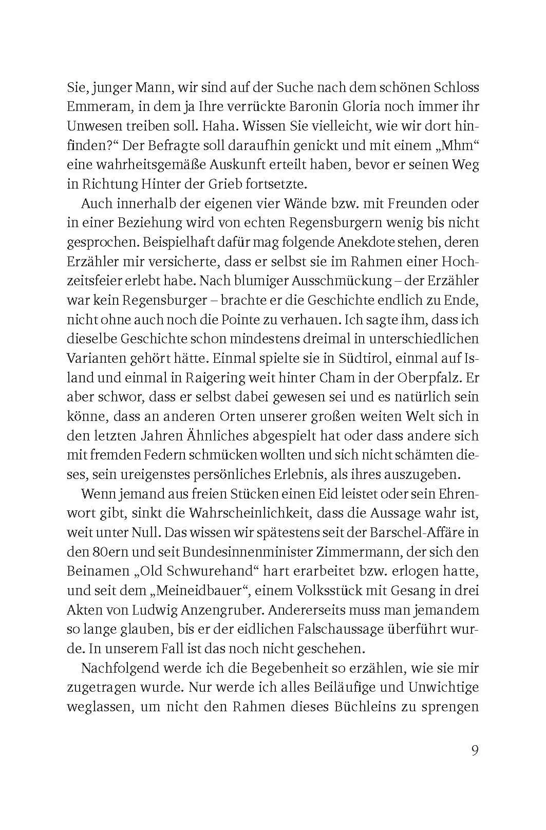 Bild: 9783866463820 | Nichts als die Wahrheit über Regensburg | "Schwafi" | Taschenbuch