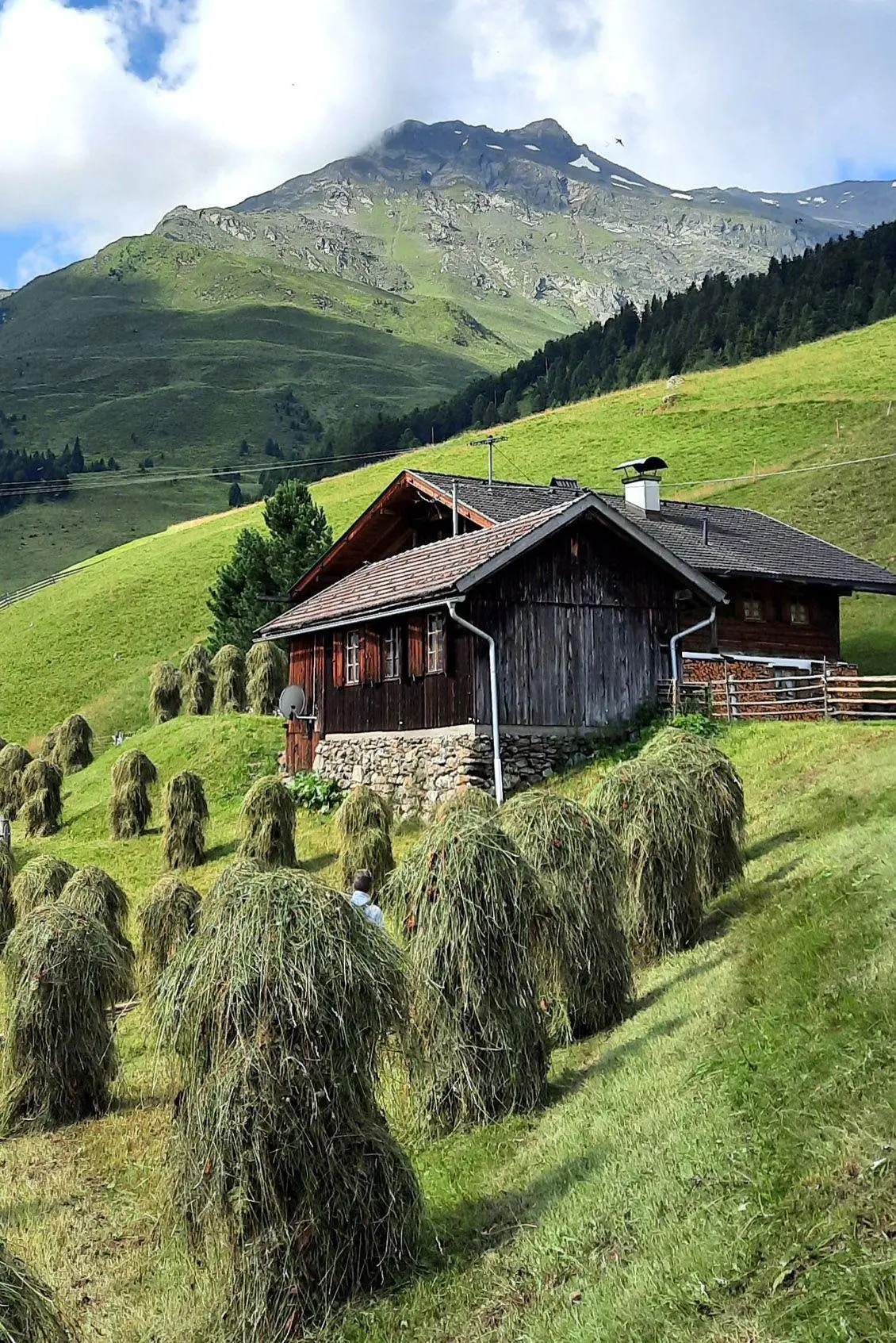 Bild: 9783702243920 | Alpine Vitalküche | Karin Hofinger | Buch | 256 S. | Deutsch | 2026