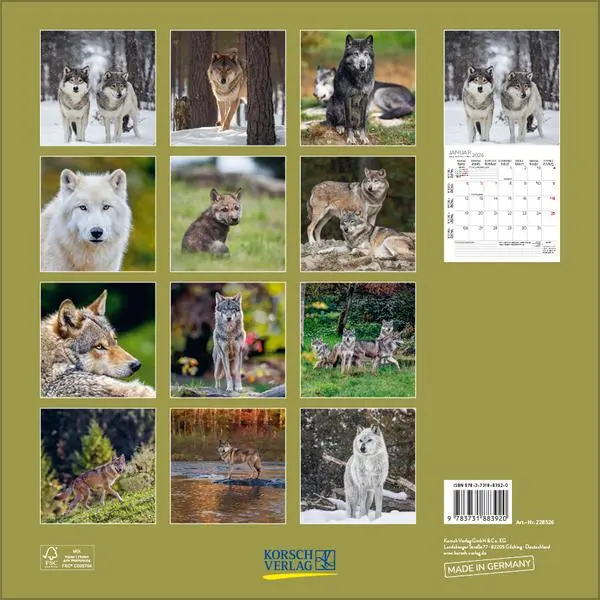 Bild: 9783731883920 | Wölfe 2026 | Verlag Korsch | Kalender | 13 S. | Deutsch | 2026
