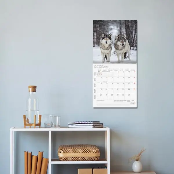 Bild: 9783731883920 | Wölfe 2026 | Verlag Korsch | Kalender | 13 S. | Deutsch | 2026