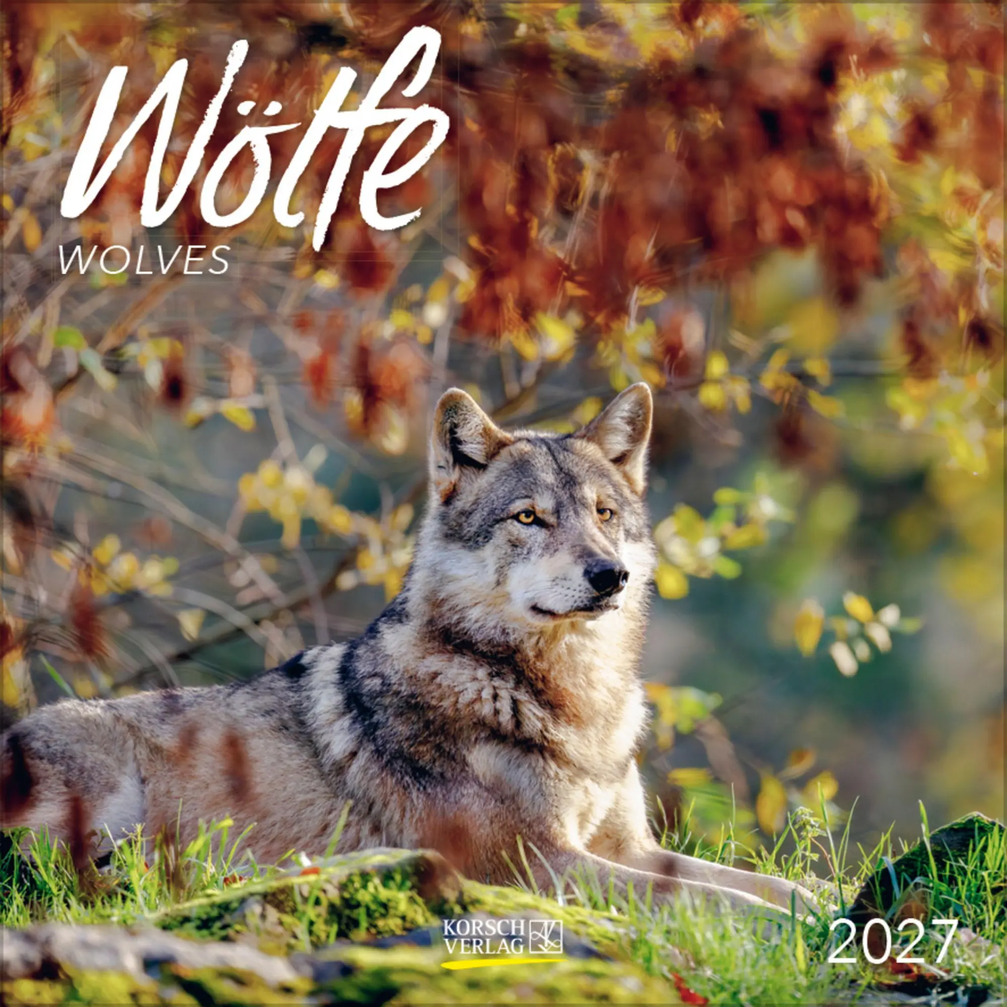 Cover: 9783819303920 | Wölfe 2027 | Verlag Korsch | Kalender | 13 S. | Deutsch | 2027